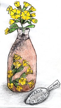 flowerbottle.jpg